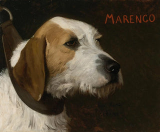 Marengo - Jean-Léon Gérôme — vy av konstverket