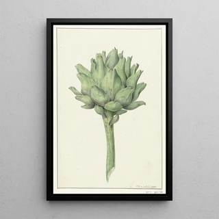 Jean Bernard - Artisjok.webp