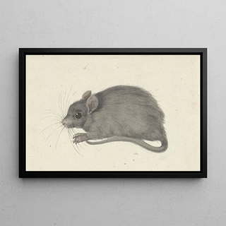 Jean Bernard - Muis naar links.webp