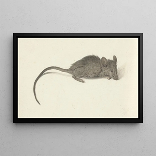 Jean Bernard - Muis naar rechts.webp