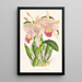 Cattleya Trianae - Jean Jules Linden — inramlat konstverk på väggen