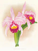 Cattleya Trianae var purpurata - Jean Jules Linden — vy av konstverket
