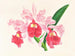 Cattleya gigas - Jean Jules Linden — vy av konstverket