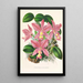 Cattleya nobilior - Jean Jules Linden — inramlat konstverk på väggen
