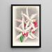 Laelia elegans - Jean Jules Linden — inramlat konstverk på väggen