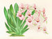 Miltonia vexillaria - Jean Jules Linden — vy av konstverket