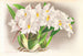 Odontoglossum alexandrae - Jean Jules Linden — vy av konstverket