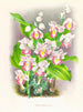 Phaius humbloti - Jean Jules Linden — vy av konstverket