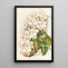 Phalaenopsis Stuartiana - Jean Jules Linden — inramlat konstverk på väggen