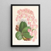 Phalaenopsis sanderiana - Jean Jules Linden — inramlat konstverk på väggen
