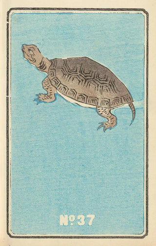 Jinta Hirayama - Illustrated Catalogue of Daylight Bomb Shells No 37.webp