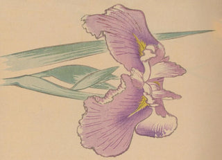 Jiro Takeuchi - Hogajo Pl08.webp