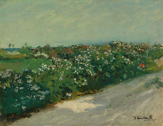 stranden vid Malvarrosa - Joaquín Sorolla — vy av konstverket