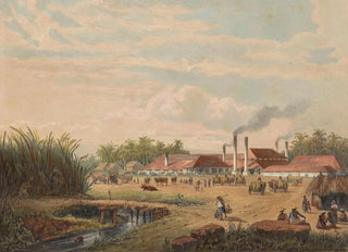 Johan Conrad Greive - Pangkafabriek nabij Tegal op MiddenJava Suikerfabriek Pangka.webp