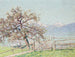 Vue sur Dornbirn - Johann Charles Palmi — vy av konstverket