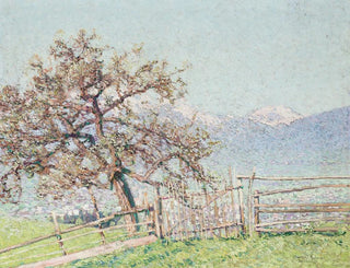 Johann Charles Palmi - Blick auf Dornbirn.webp
