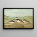 Charadrius hiaticula - Johann Friedrich Naumann — inramlat konstverk på väggen