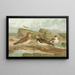 Charadrius morinellus Arenaria interpres Charadrius alexandrinus - Johann Friedrich Naumann — inramlat konstverk på väggen
