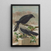 Corvus corone Corvus cornix - Johann Friedrich Naumann — inramlat konstverk på väggen