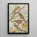 Emberiza leucocephala Gmel Emberiza cia Emberiza cinerea Strickl - Johann Friedrich Naumann — inramlat konstverk på väggen