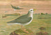 Fulmarus glacialis, petrell fulmar - Johann Friedrich Naumann — vy av konstverket