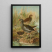 Gallinula chloropus - Johann Friedrich Naumann — inramlat konstverk på väggen