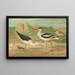 Himantopus himantopus Recurvirostra avocetta - Johann Friedrich Naumann — inramlat konstverk på väggen
