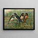 Hirundo rustica Hirundo rustica Savignii - Johann Friedrich Naumann — inramlat konstverk på väggen