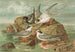 Hydrochelidon fissipes, Hydrochelidon hybrida, Hydrochelidon nigra - Johann Friedrich Naumann — vy av konstverket