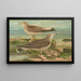 Larus canus Larus argentatus Brunn - Johann Friedrich Naumann — inramlat konstverk på väggen