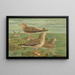 Larus fuscus Larus marinus Larus glaucus Brünn - Johann Friedrich Naumann — inramlat konstverk på väggen