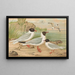 Larus minutus Pall, Larus ridibundus, Larus melanocephalus, Natt, Larus minutus Pall - Johann Friedrich Naumann — inramlat konstverk på väggen