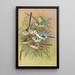 Parus coeruleus Aegithalus caudatus caudatus vagans caudatus Irbyi Parus cyanus Pall - Johann Friedrich Naumann — inramlat konstverk på väggen