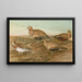 Pterocles arenarius, Pterocles alchata, Pterocles exustus Temm - Johann Friedrich Naumann — inramlat konstverk på väggen
