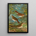 Turdus fuscescens Turdus pallassii Turdus swainsonii - Johann Friedrich Naumann — inramlat konstverk på väggen