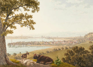 Johann Jakob Biedermann - Arenenberg Ausblick gegen Osten.webp