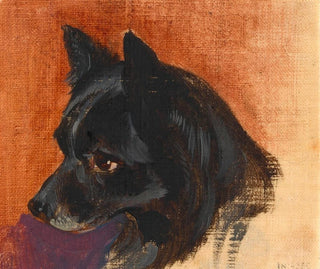 Johann Matthias Ranftl - Kopf eines kleinen schwarzen Hundes.webp
