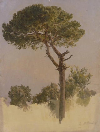 Johann Nepomuk Rauch - Pinienbaum bei S Nicola da Tolentino in Rom.webp