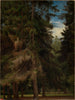 Klar glänta i tallskogen - Johann Wilhelm Schirmer — vy av konstverket