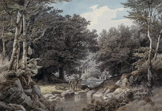 Johann Wilhelm Schirmer - Waldinneres mit Hirschen am Wasser.webp