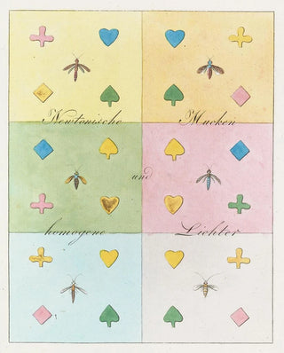 Johann Wolfgang Von Goethe - Zur Farbenlehre Pl13.webp