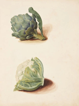 Johanna Fosie - Studie af artiskok og blomklshoved.webp