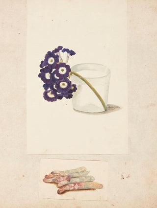 Johanna Fosie - Studie af blomst i glas med vand og hvide asparges.webp