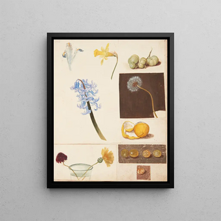 Johanna Fosie - Studie af blomster frugter og grnne tomater.webp