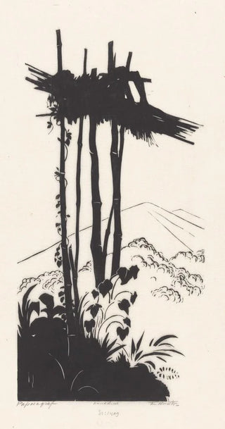 Johannes Frederik Engelbert ten Klooster - Papoeagraf.webp