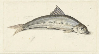 Johannes le Francq van Berkhey - Gondel.webp