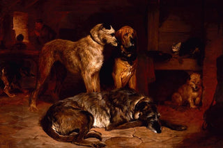 John Charlton - More Free Than Welcome.webp