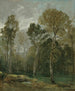 Vy över en skogsdunge - John Constable — vy av konstverket