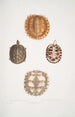 2 Tortue épineuse Emys spinos 3 4 Tortue boîte d'Amborna Cistuda amboinensis - John Edward Gray — vy av konstverket