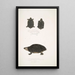 Tortue tachetée Emys Guttata Emys Hamiltonii 2 Tortue à cou épais Emys crassicollis - John Edward Gray — inramlat konstverk på väggen